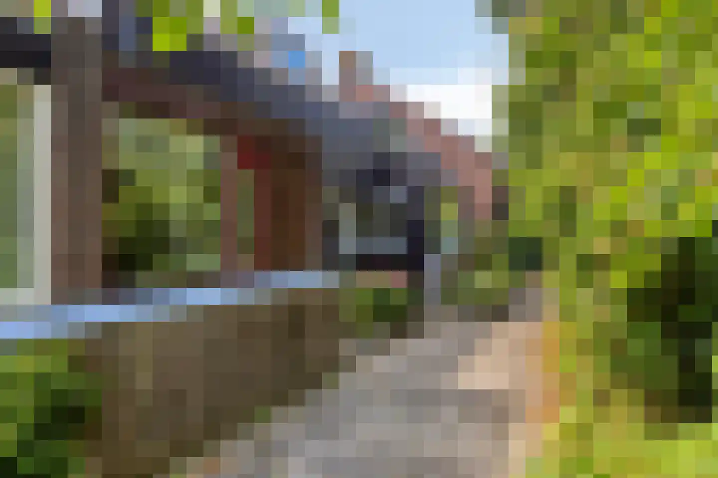 Heelblaadjespad 13 Leiderdorp thumbnail 31