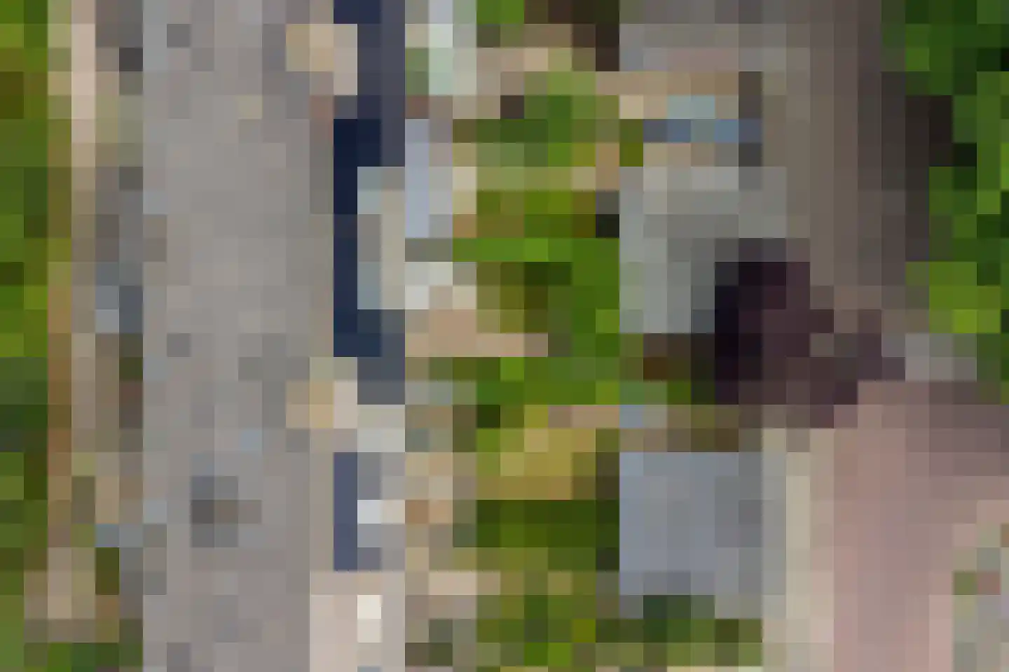 Heelblaadjespad 13 Leiderdorp thumbnail 33