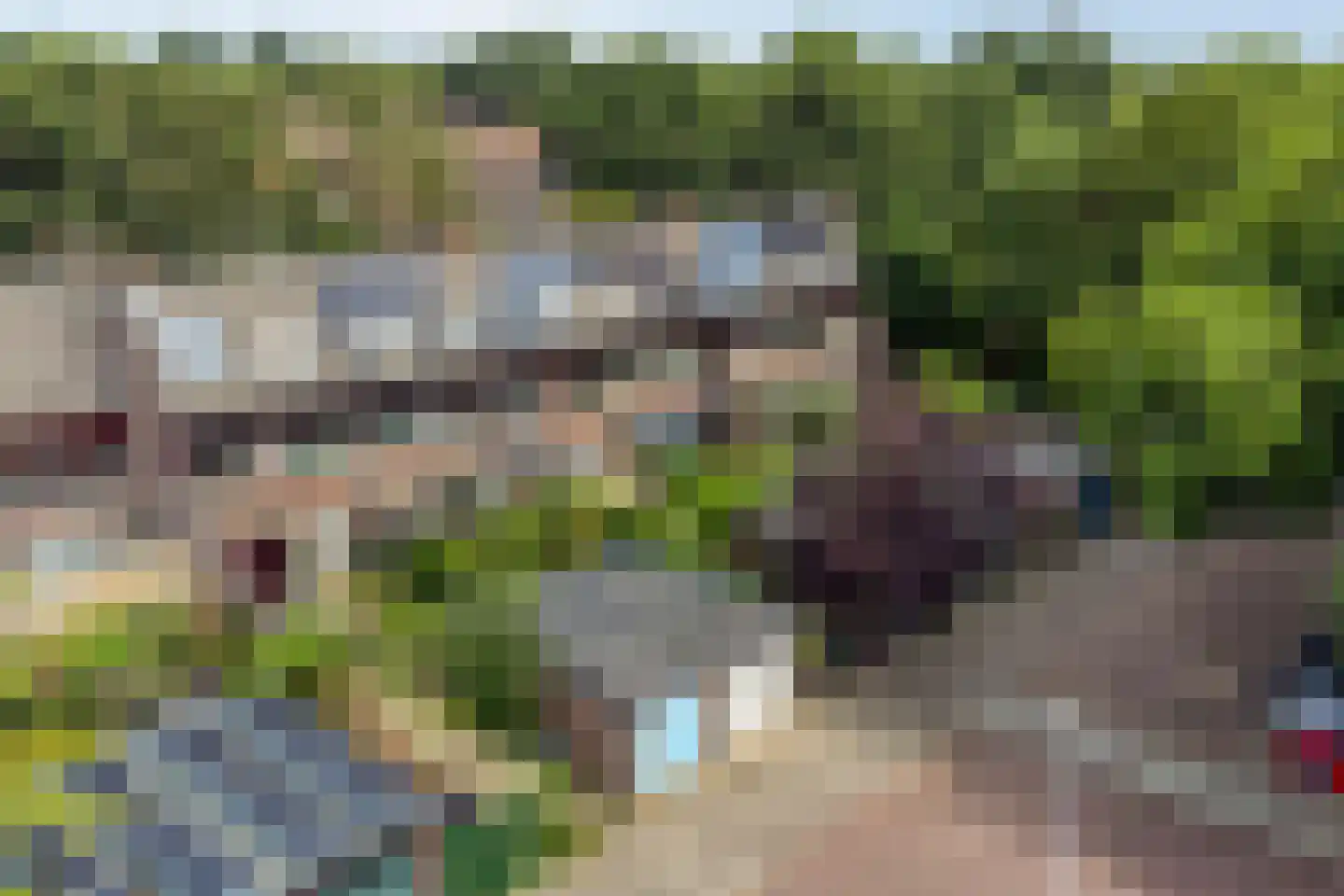 Heelblaadjespad 13 Leiderdorp thumbnail 34