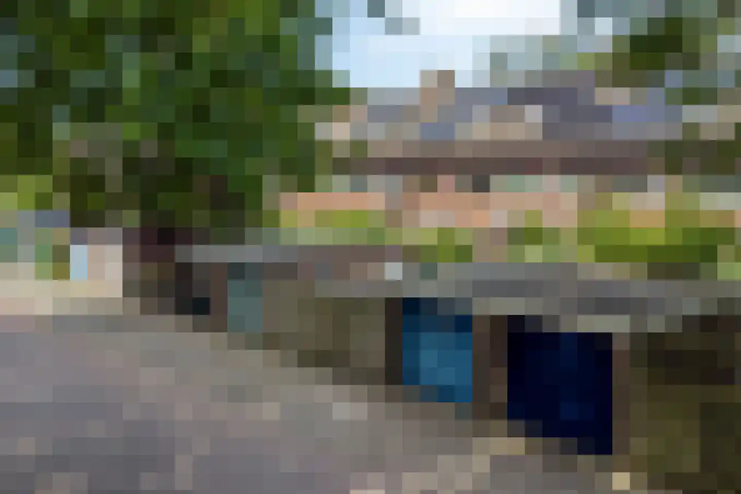 Heelblaadjespad 13 Leiderdorp thumbnail 35