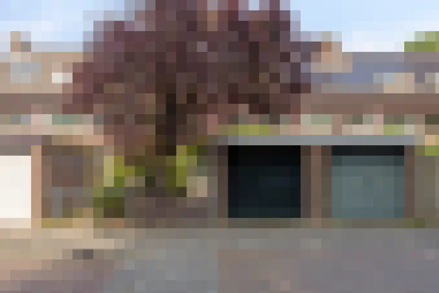 Heelblaadjespad 13 Leiderdorp thumbnail 36