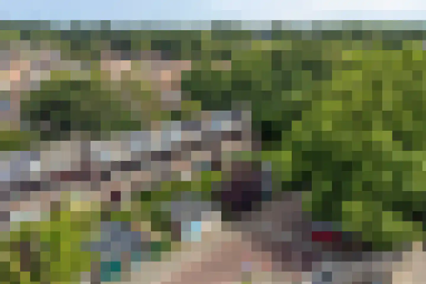 Heelblaadjespad 13 Leiderdorp thumbnail 37