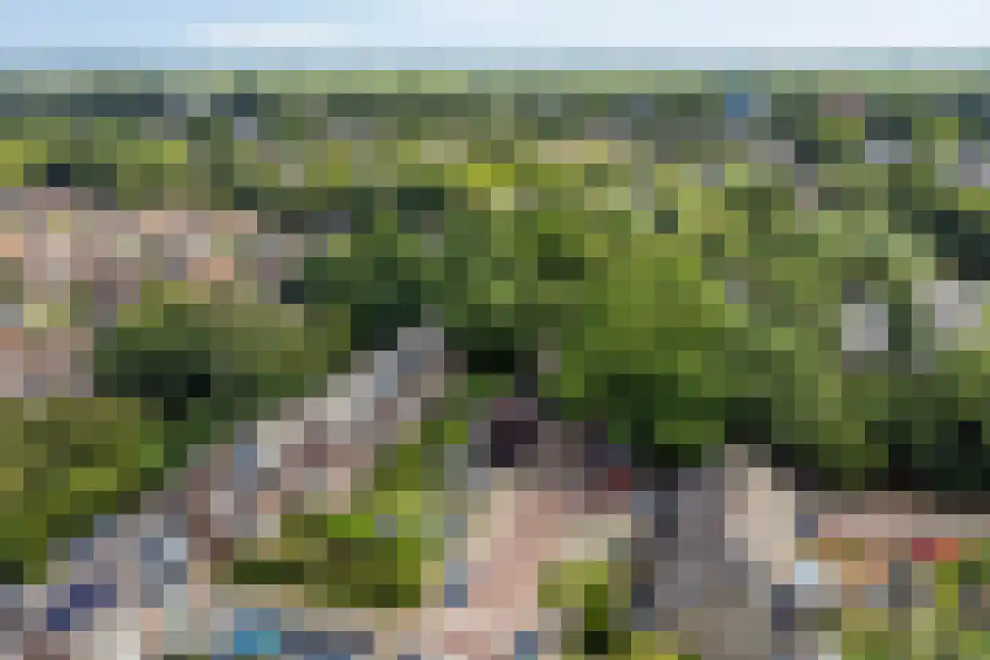 Heelblaadjespad 13 Leiderdorp thumbnail 38