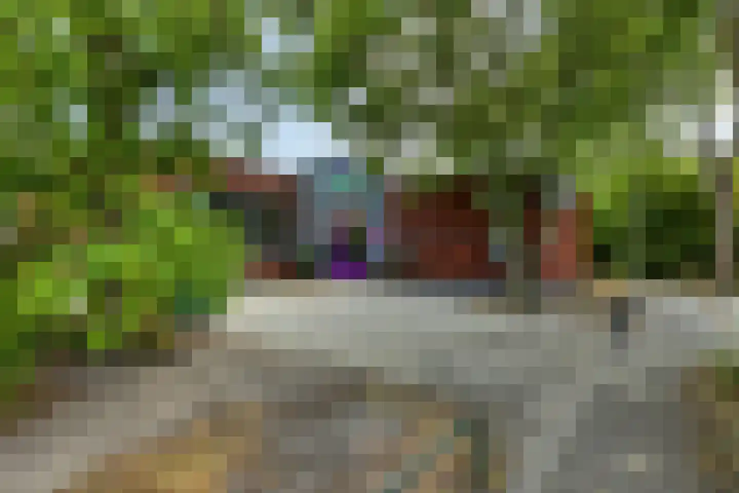 Heelblaadjespad 13 Leiderdorp thumbnail 42