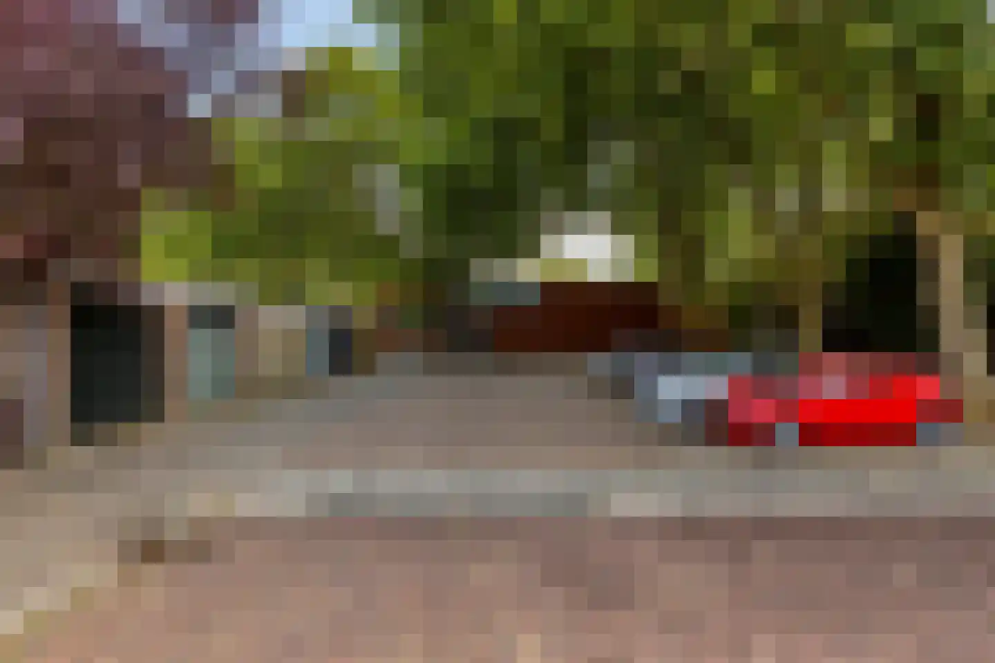 Heelblaadjespad 13 Leiderdorp thumbnail 43