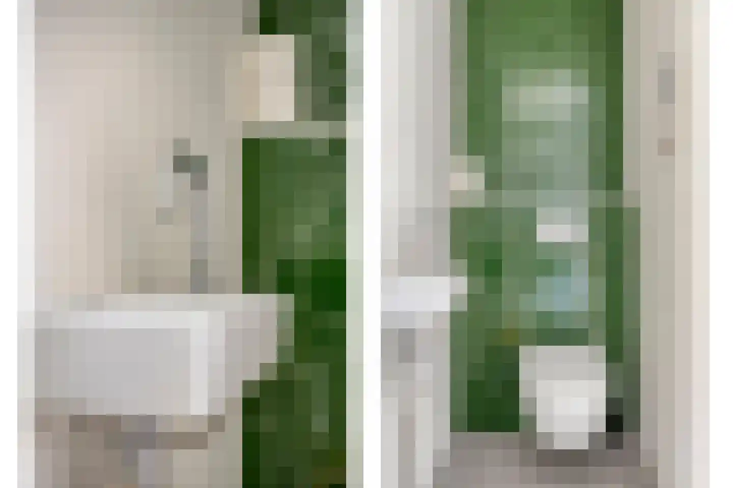 Heelblaadjespad 13 Leiderdorp thumbnail 7