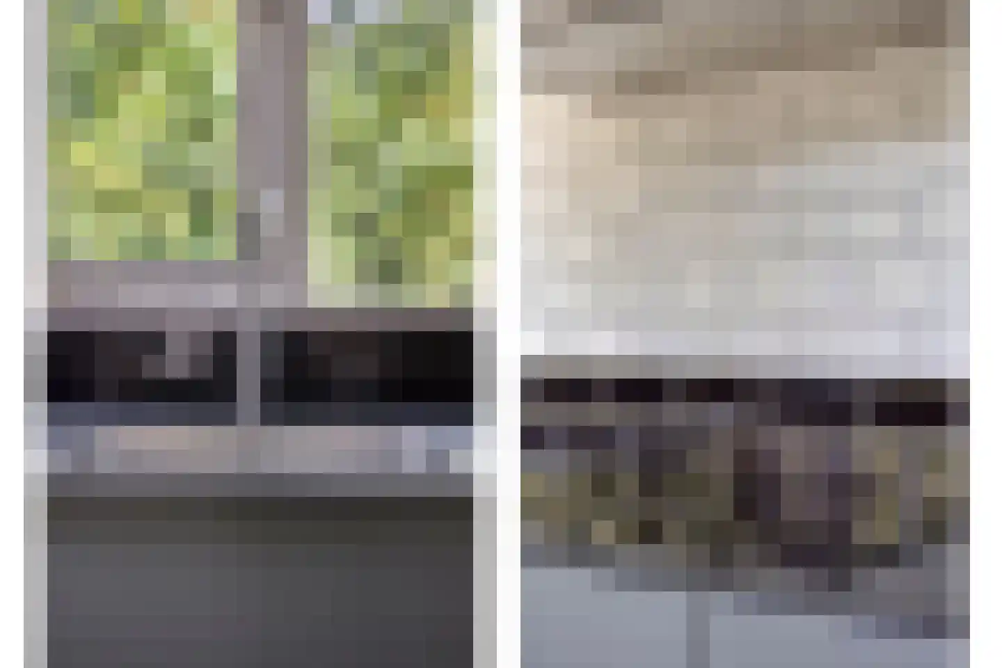 Heelblaadjespad 13 Leiderdorp thumbnail 9