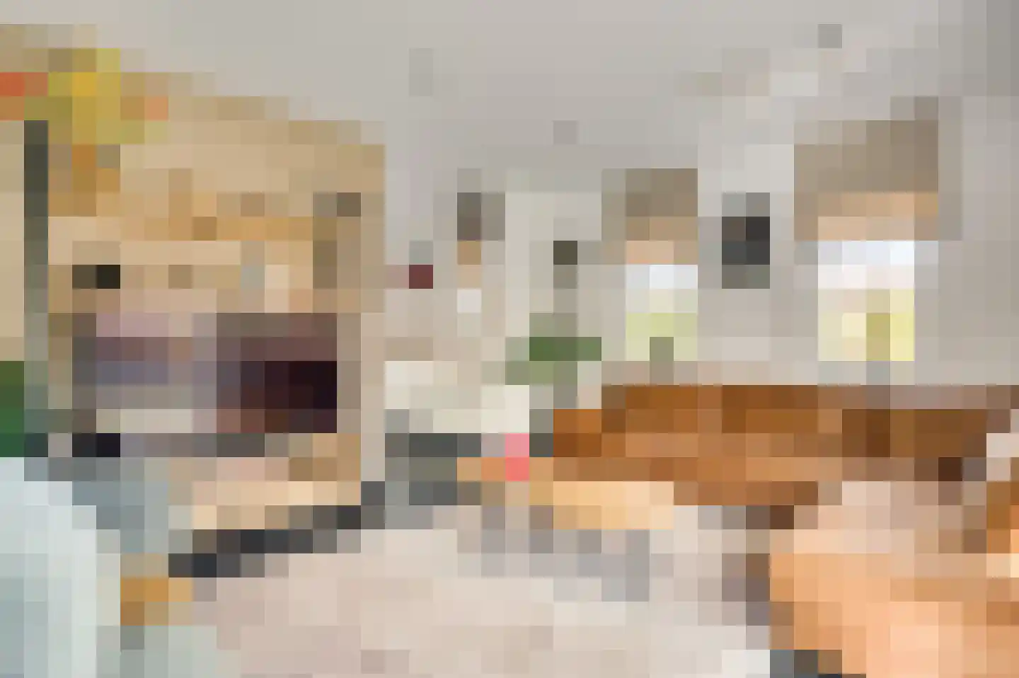 Heelderweg 12 Heel thumbnail 11