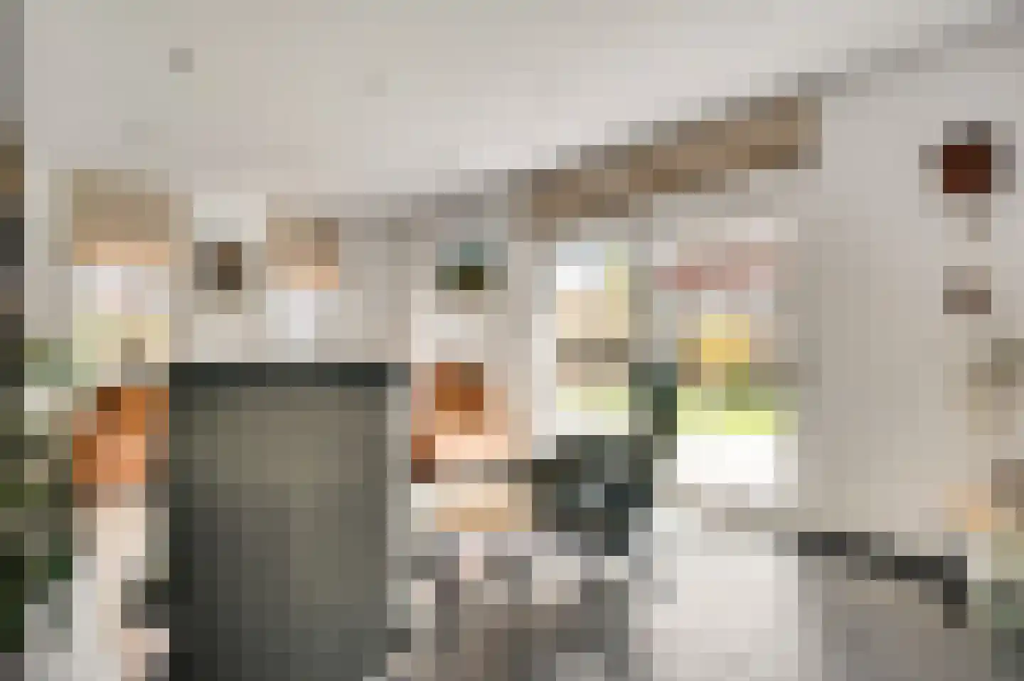 Heelderweg 12 Heel thumbnail 12