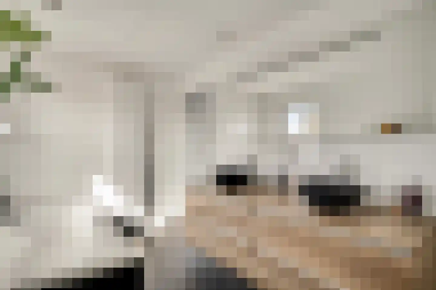 Heelderweg 12 Heel thumbnail 33