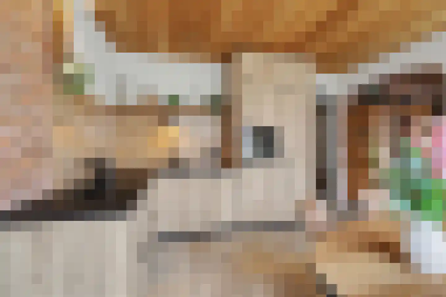 Heeleind 2 E Bladel thumbnail 13