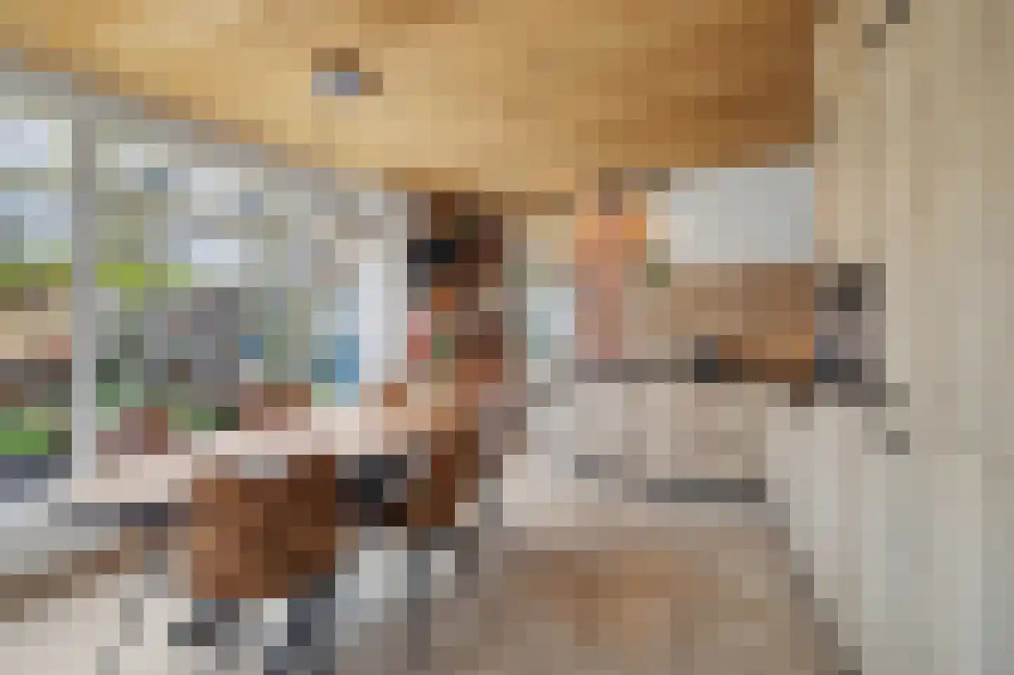 Heeleind 2 E Bladel thumbnail 14