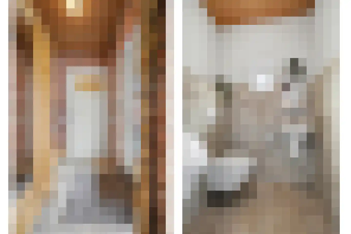 Heeleind 2 E Bladel thumbnail 18