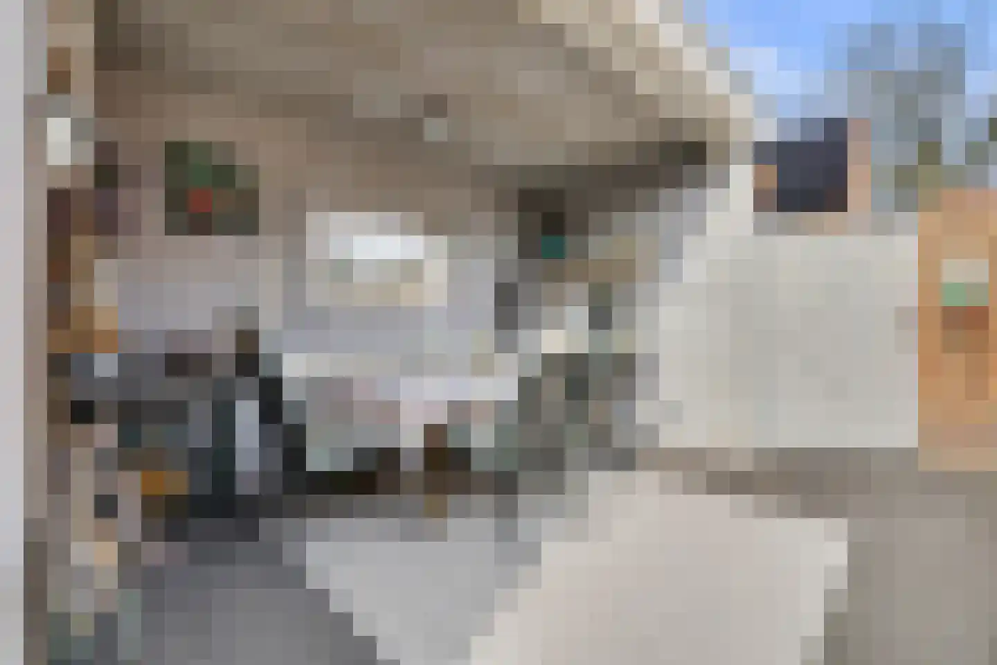 Heeleind 2 E Bladel thumbnail 35