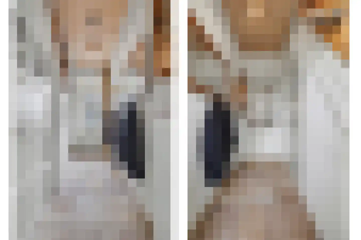 Heeleind 2 E Bladel thumbnail 4