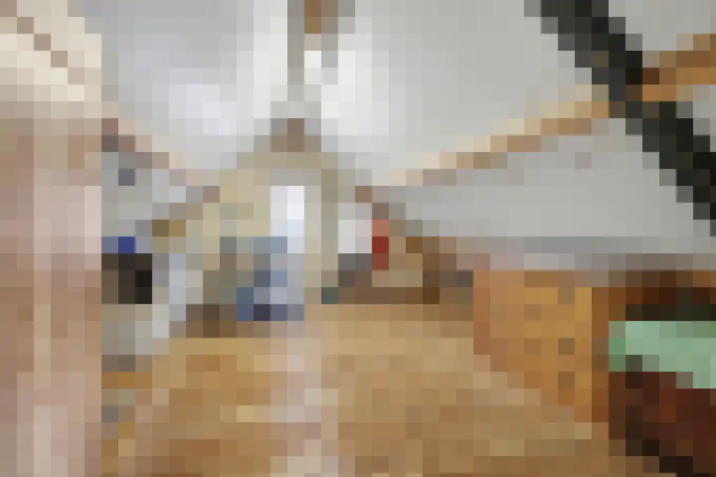 Heeleind 2 E Bladel thumbnail 41