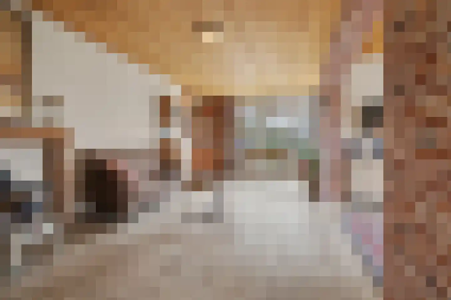 Heeleind 2 E Bladel thumbnail 8