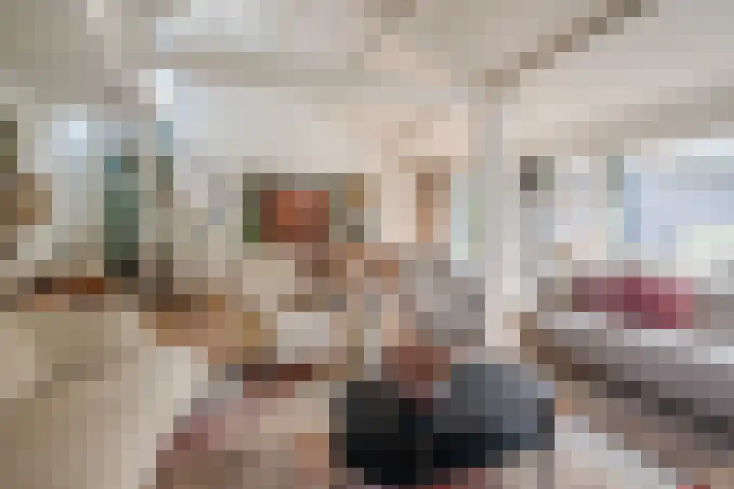 Heeleind 23 Bladel thumbnail 12