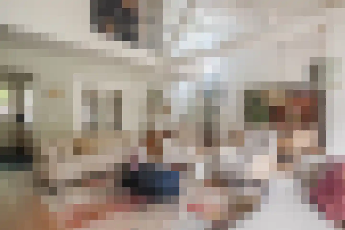 Heeleind 23 Bladel thumbnail 13