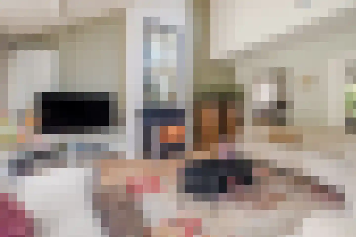 Heeleind 23 Bladel thumbnail 14