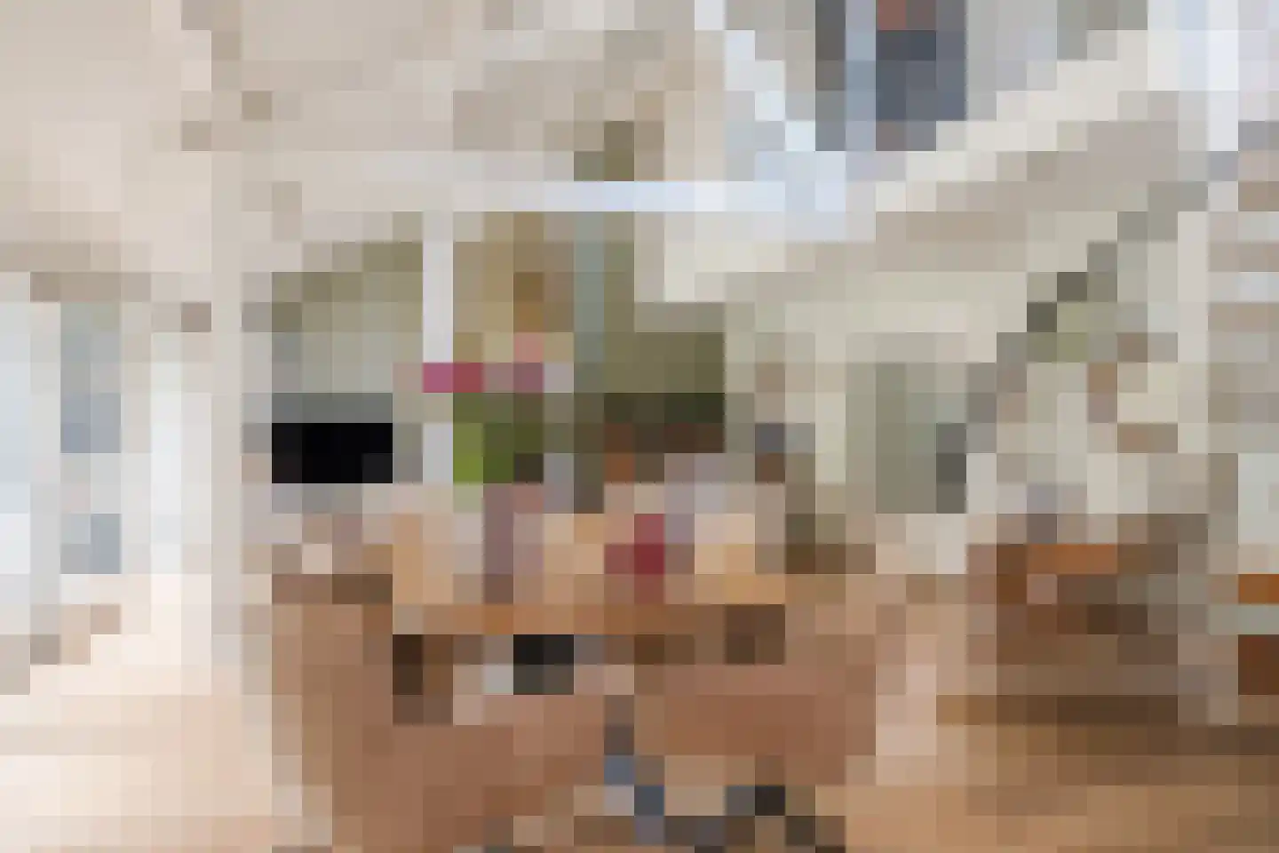 Heeleind 23 Bladel thumbnail 17