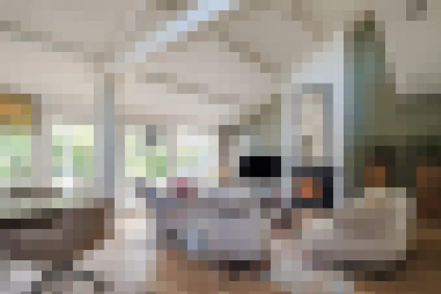 Heeleind 23 Bladel thumbnail 18