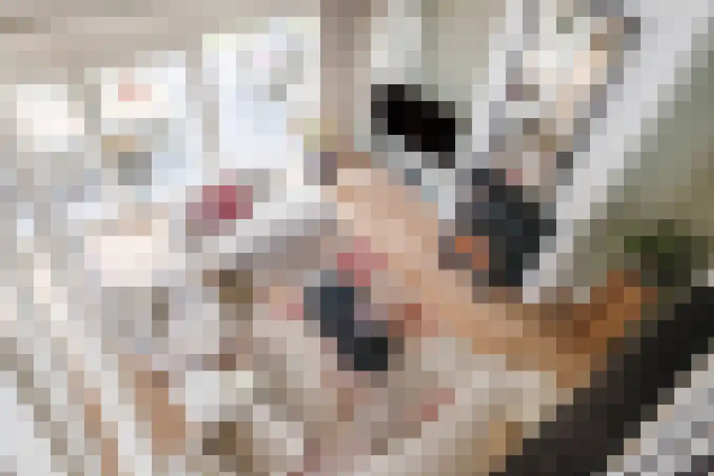 Heeleind 23 Bladel thumbnail 23
