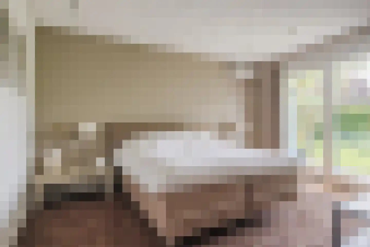 Heeleind 23 Bladel thumbnail 27
