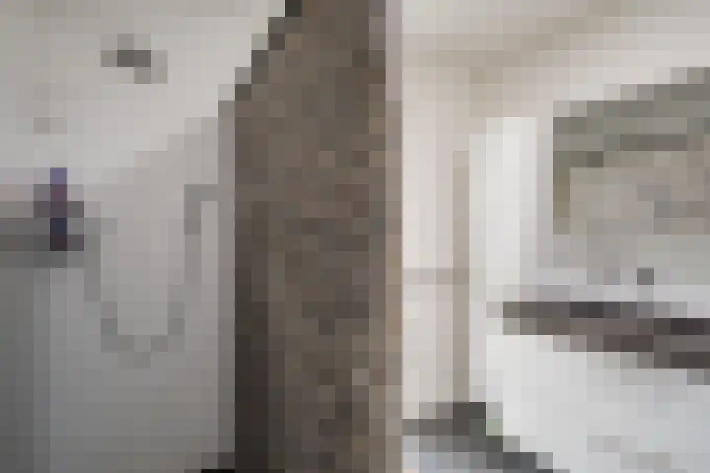 Heeleind 23 Bladel thumbnail 31