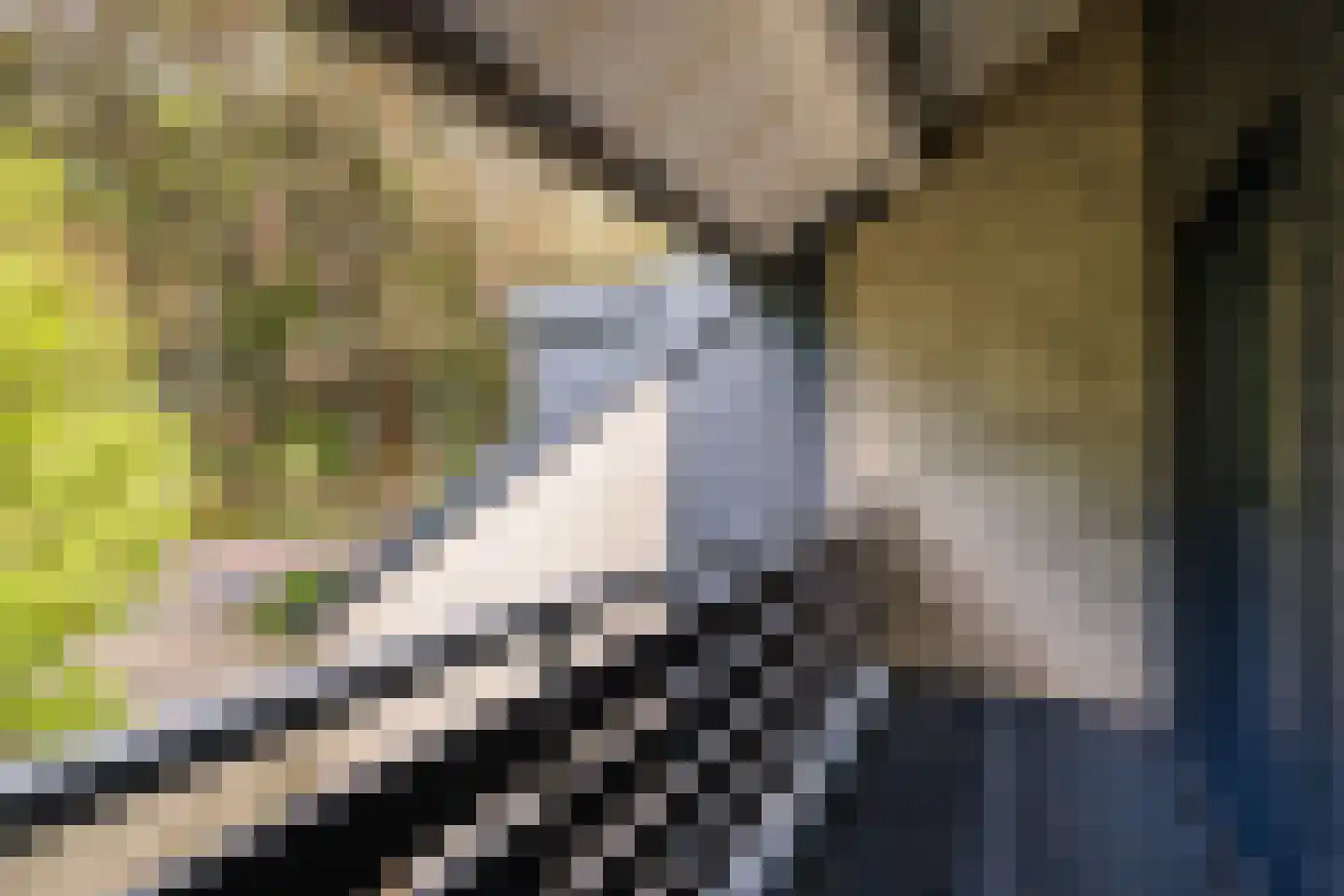 Heeleind 23 Bladel thumbnail 38