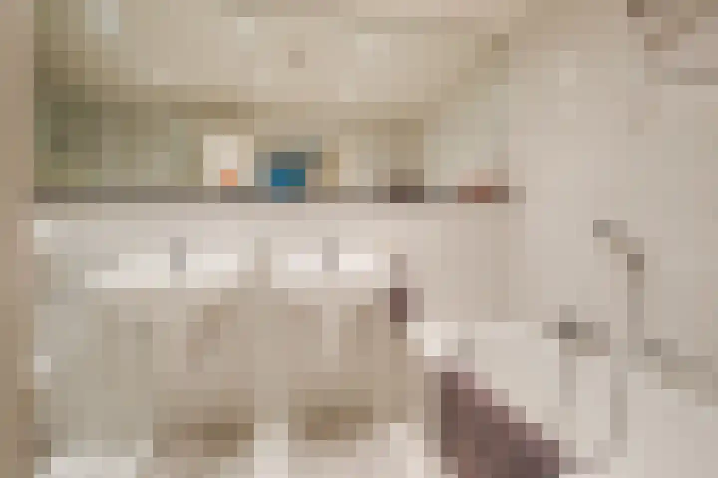 Heeleind 23 Bladel thumbnail 39