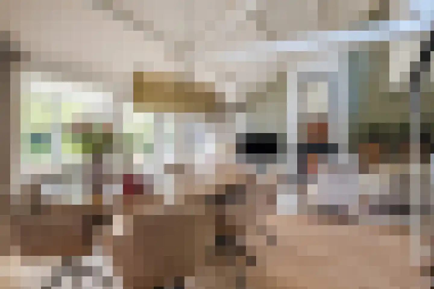 Heeleind 23 Bladel thumbnail 4