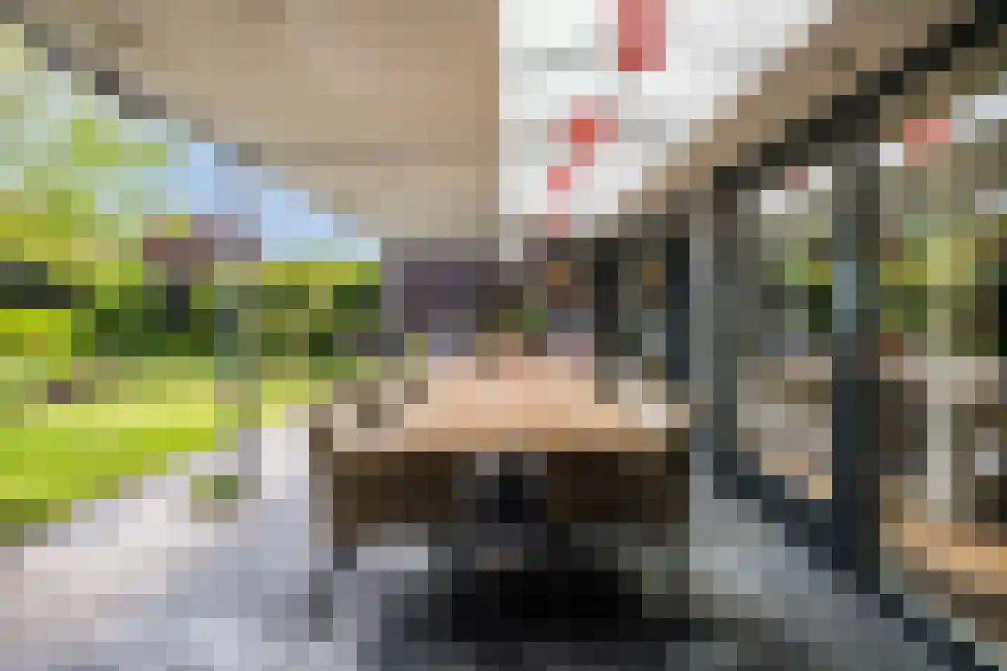 Heeleind 23 Bladel thumbnail 42