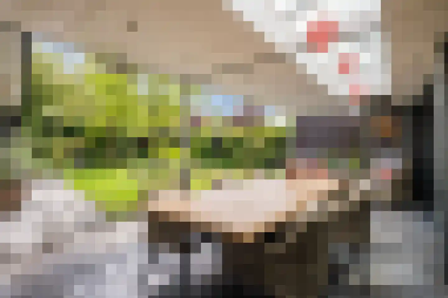 Heeleind 23 Bladel thumbnail 43