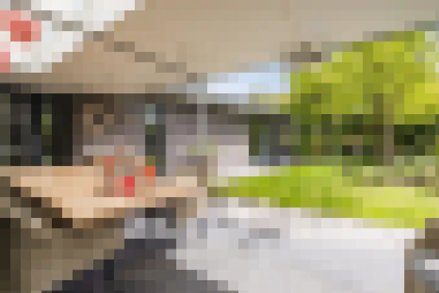Heeleind 23 Bladel thumbnail 44