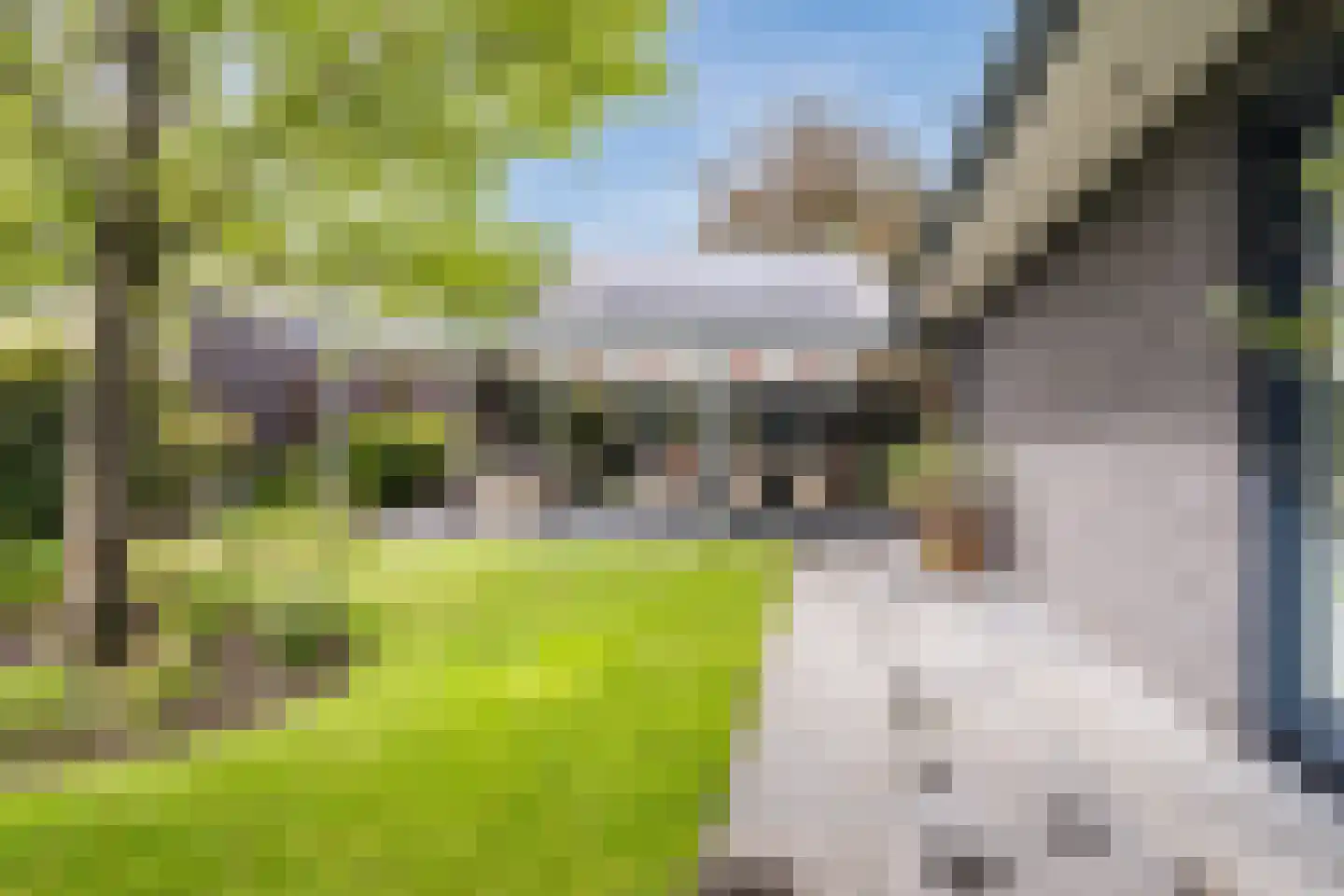 Heeleind 23 Bladel thumbnail 46