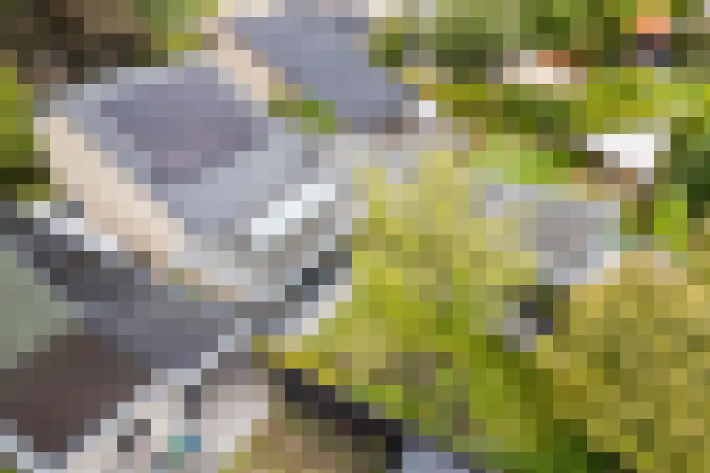 Heeleind 23 Bladel thumbnail 51