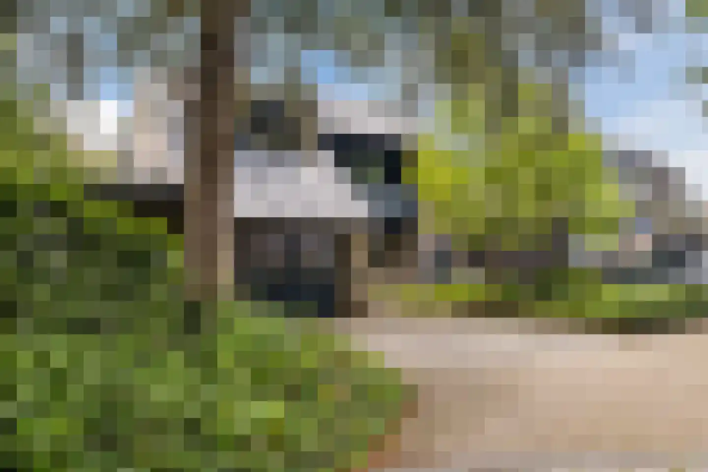 Heeleind 23 Bladel thumbnail 52