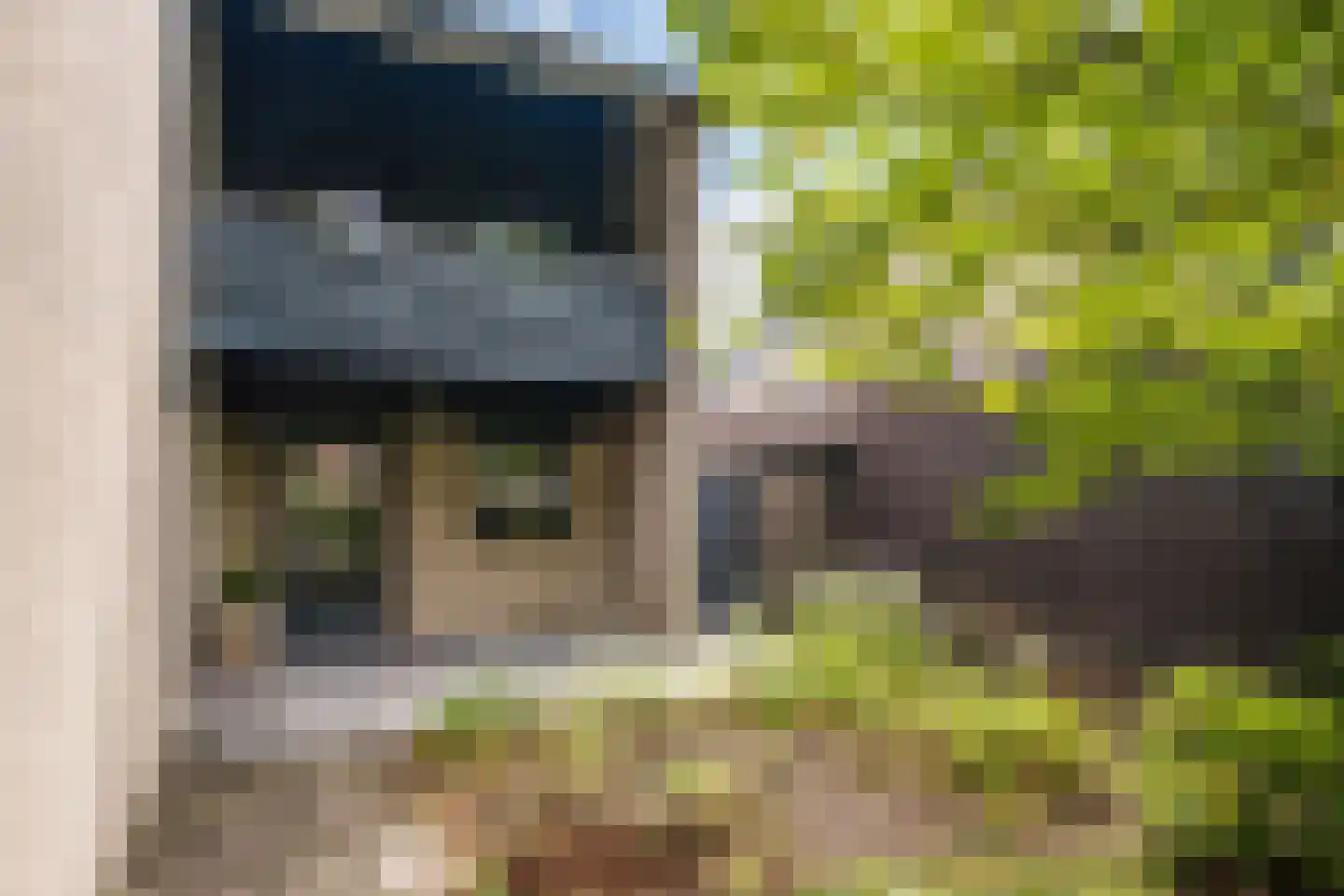 Heeleind 23 Bladel thumbnail 53