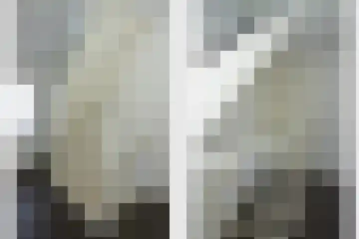 Heeleind 36 Bladel thumbnail 16