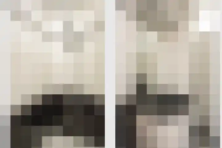Heeleind 36 Bladel thumbnail 22