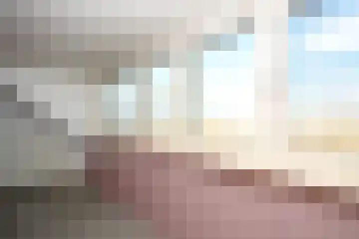 Heeleind 36 Bladel thumbnail 23