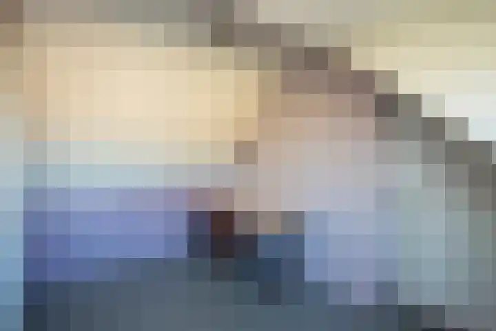 Heeleind 36 Bladel thumbnail 24