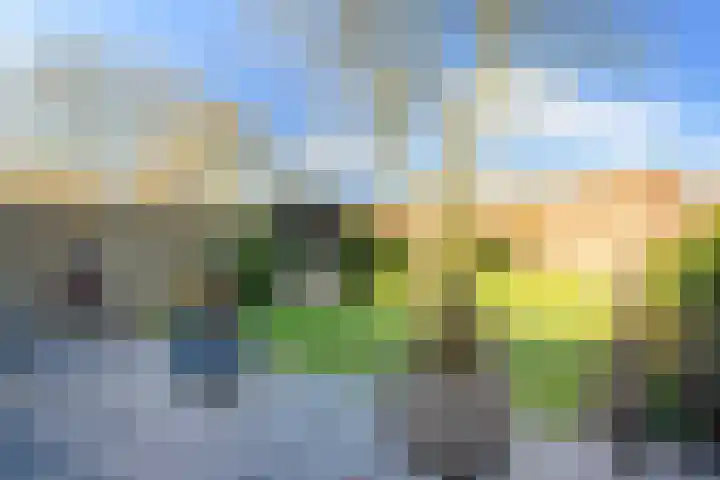 Heeleind 36 Bladel thumbnail 26