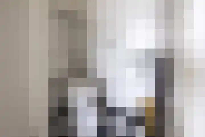 Heeleind 36 Bladel thumbnail 4