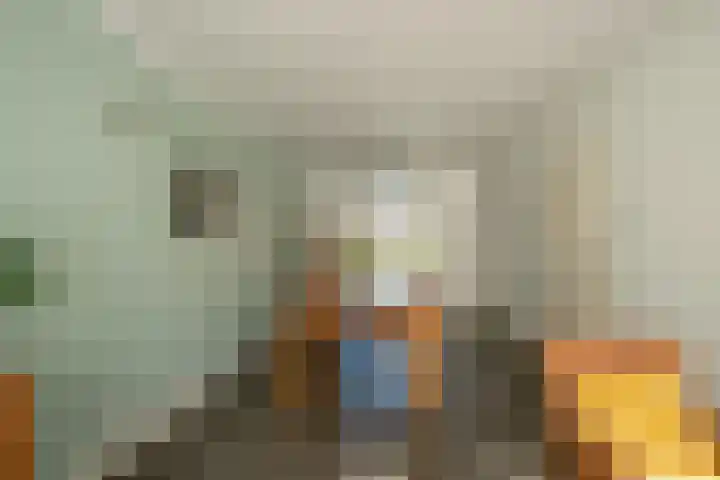 Heeleind 36 Bladel thumbnail 9