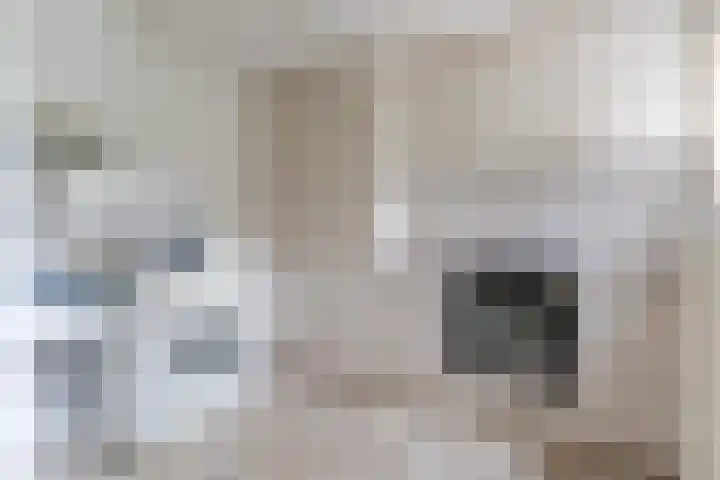 Heeleind 86 Bladel thumbnail 12