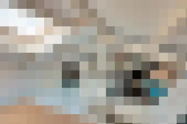 Heeleind 86 Bladel thumbnail 13