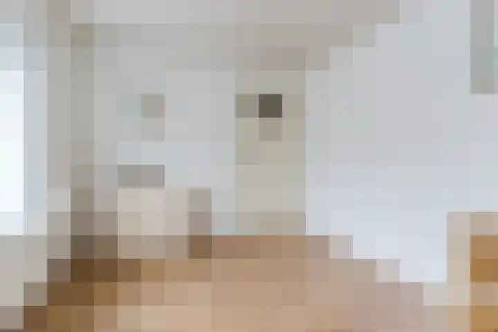Heeleind 86 Bladel thumbnail 22