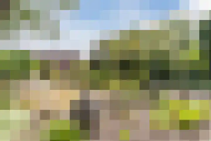 Heeleind 86 Bladel thumbnail 27
